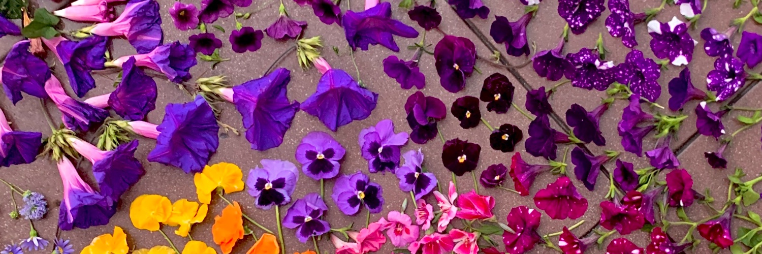 Lola Rose Thompson banner