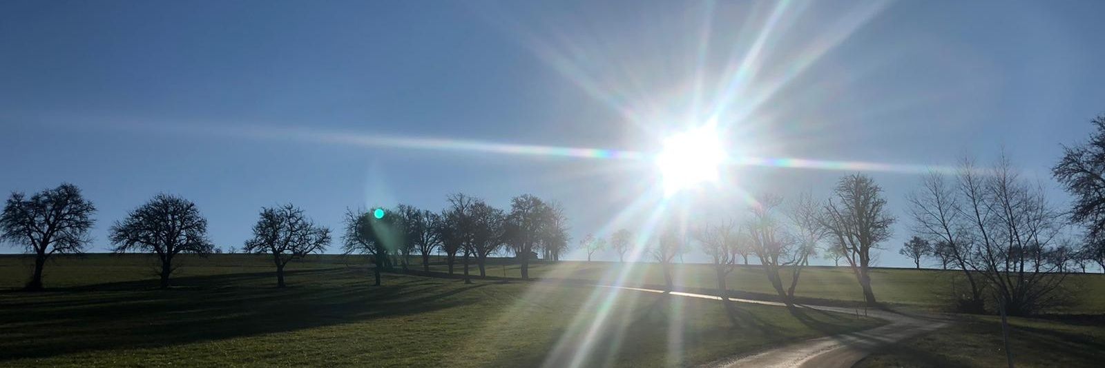 Angela Channing banner