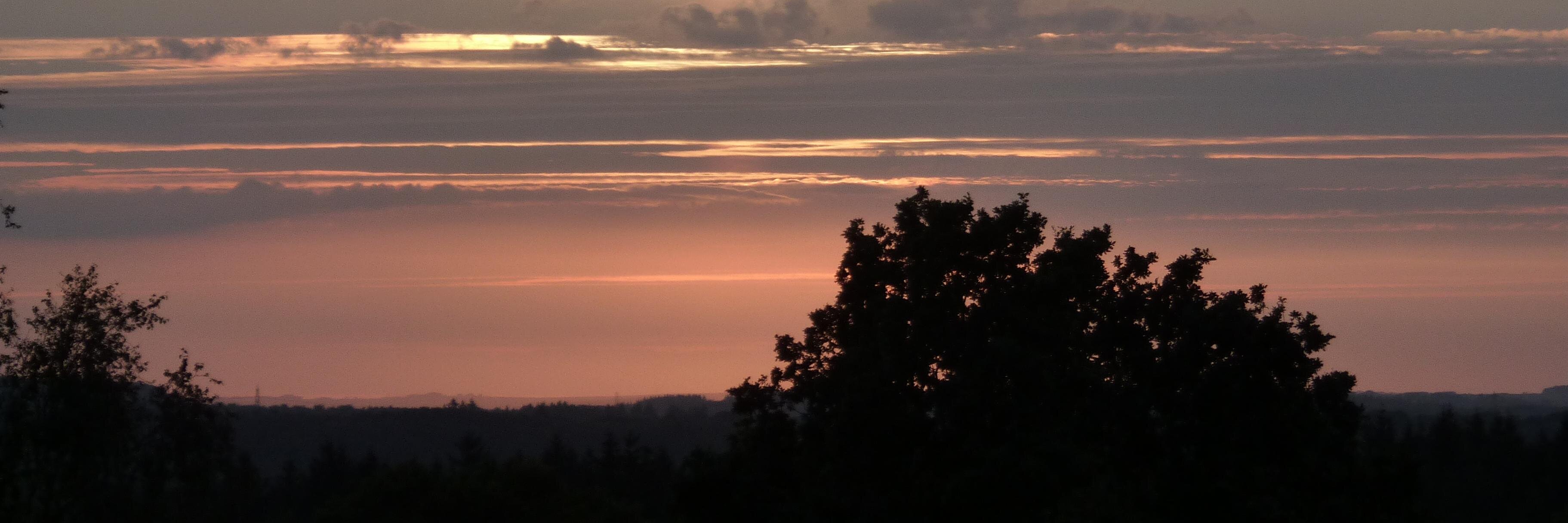 Hannah 🏳️‍🌈 banner