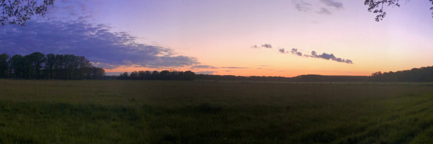 Théo Fortin - Topiga banner