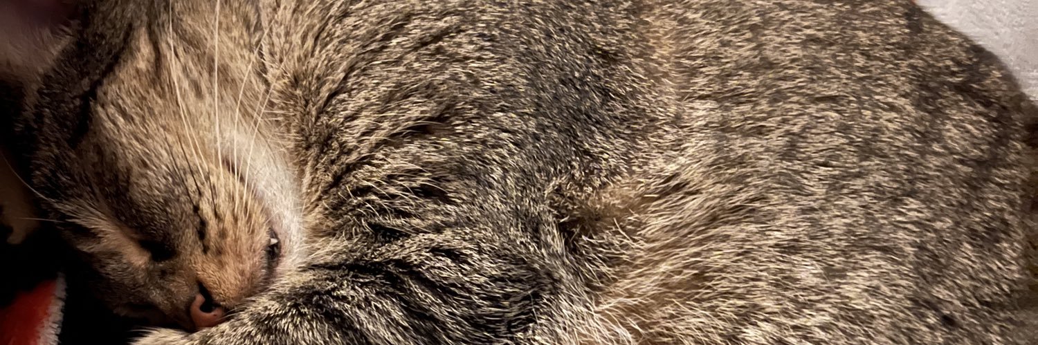 KristinStocker's profile banner image