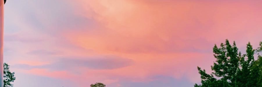 daniellenarnold's profile banner image