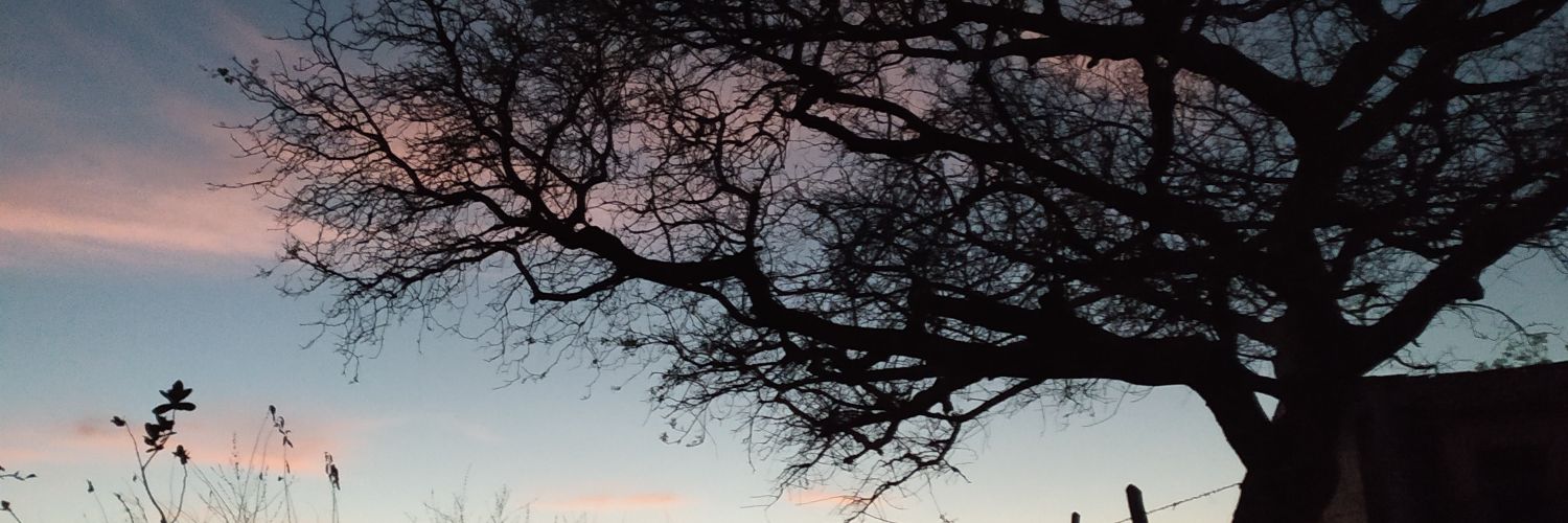 iakulo's profile banner image