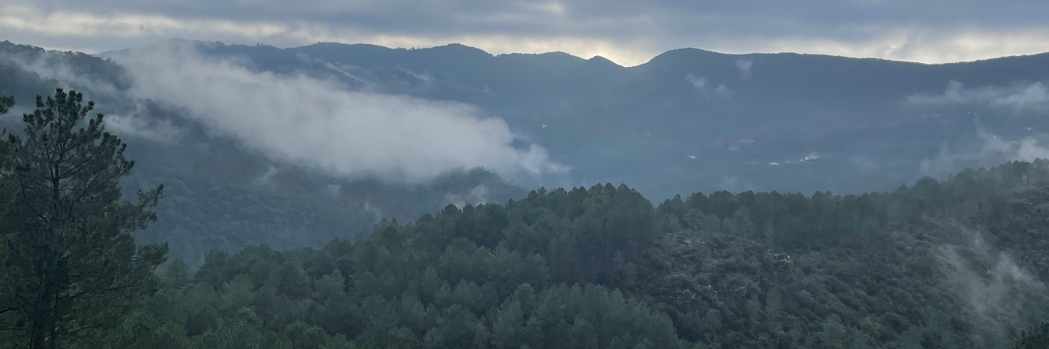 Gordihuit ❤️💙 banner