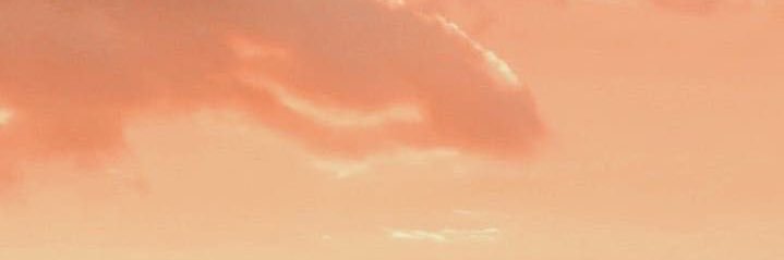 blkparadises's profile banner image