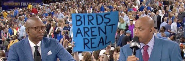 Cuzz Lightyear banner