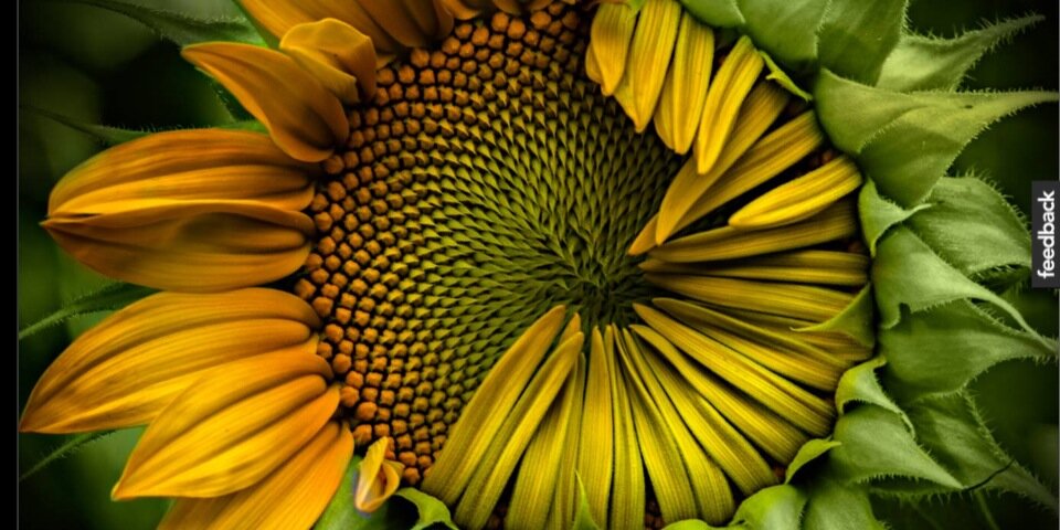 hello_m0's profile banner image