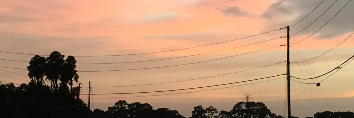 Shelly1183's profile banner image