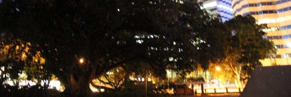 PublicSpacesWA's profile banner image