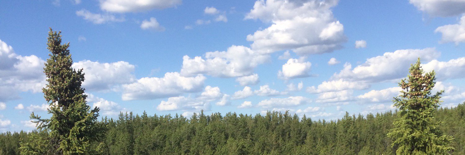 CHARLEZinCharg's profile banner image
