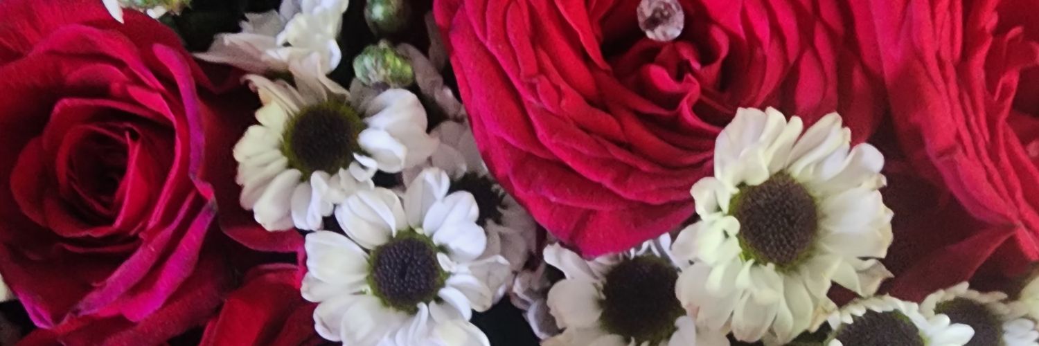 MerydRodriguez's profile banner image