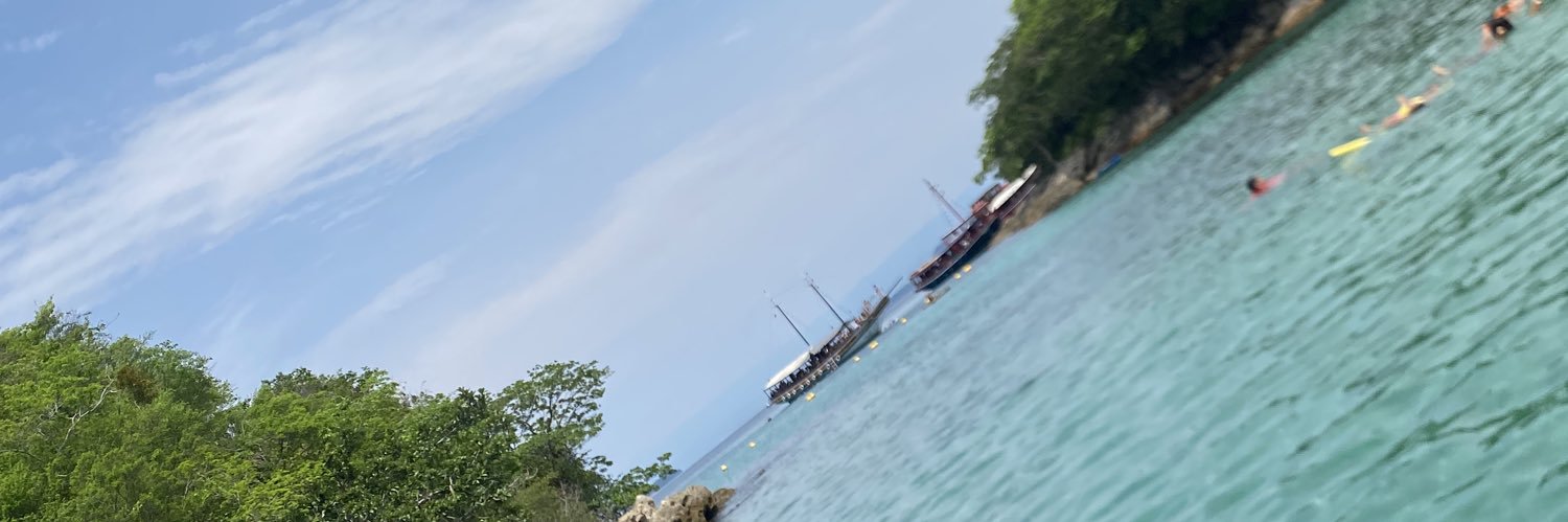 DDbarretoo's profile banner image