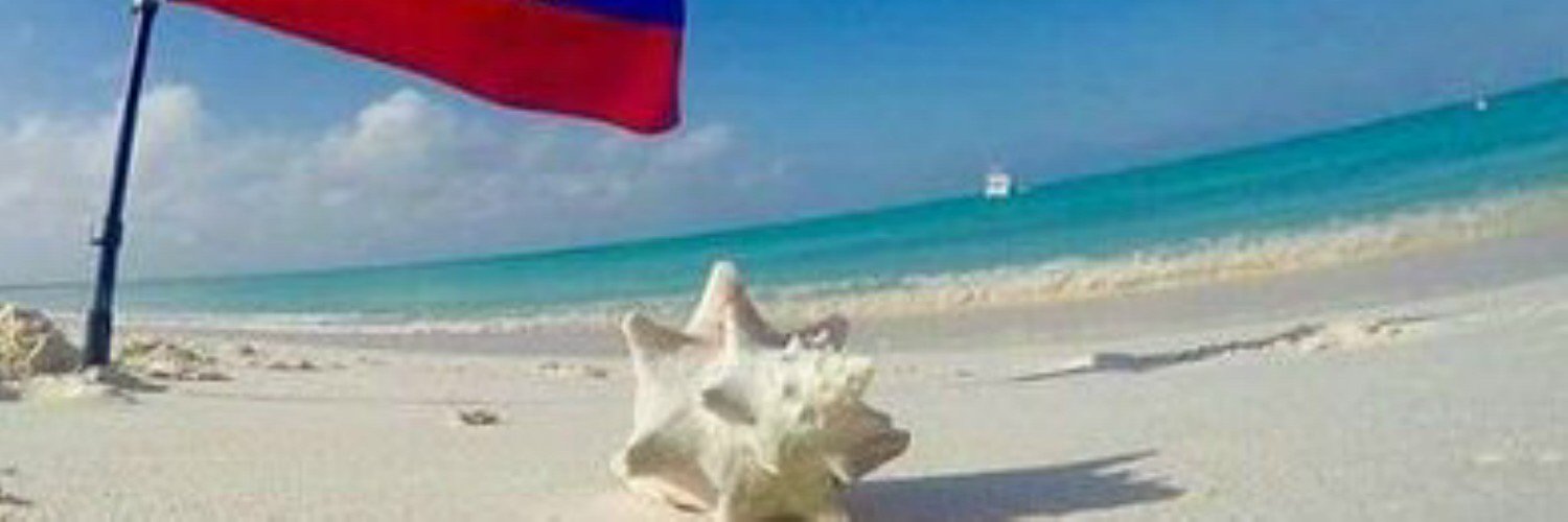 NelcaCorrea's profile banner image