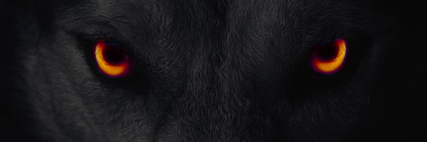 AlphaWolfForce Profile Banner
