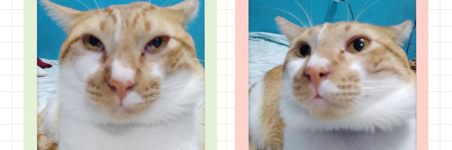 cefhnny's profile banner image