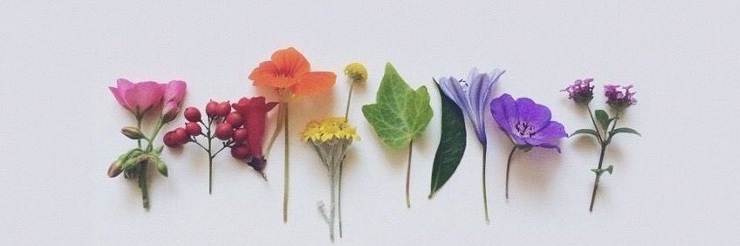 MichelleAlc21's profile banner image