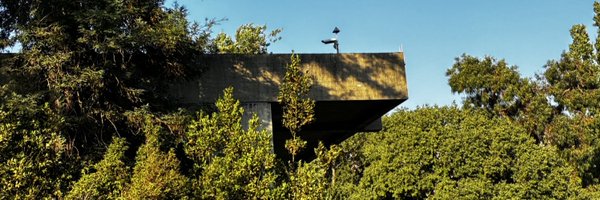 SamuelRamos95 Profile Banner