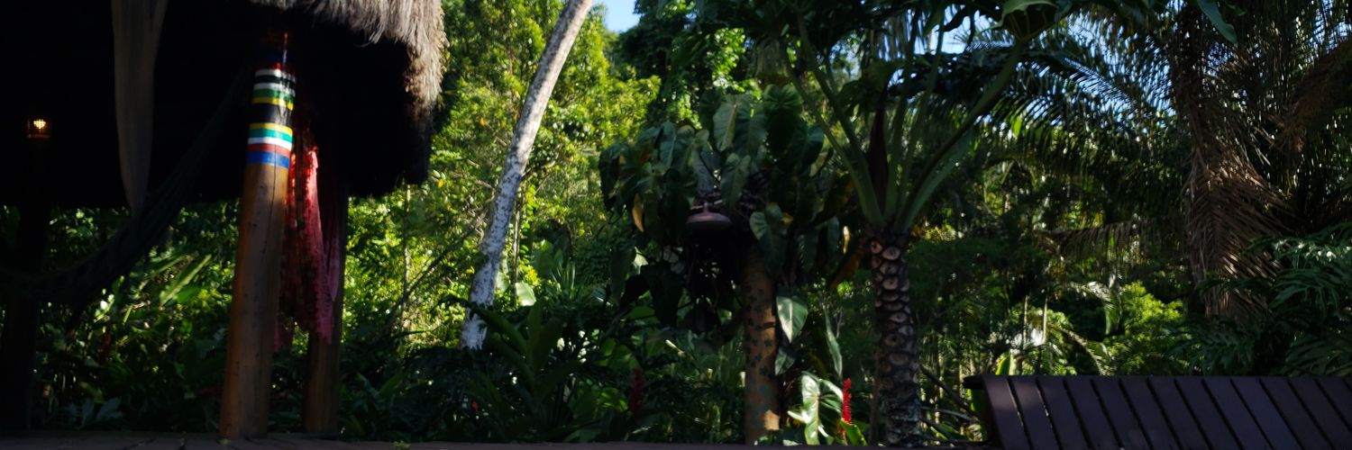 MSilvaSazo's profile banner image