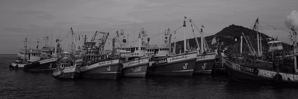 sea_mastermind's profile banner image
