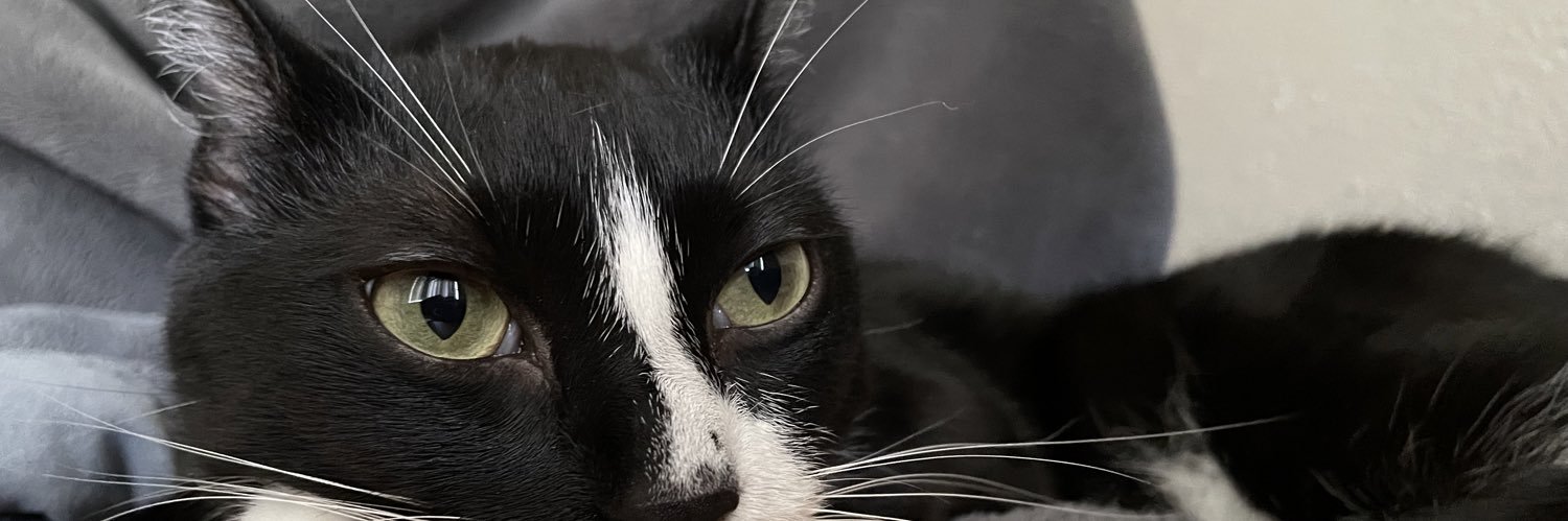 intaltaylor's profile banner image