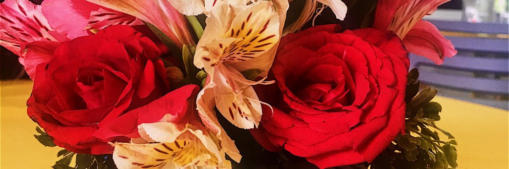 candysbeluv's profile banner image