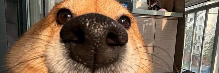 SMIJ15_'s profile banner image