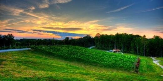 PotomacPoint's profile banner image