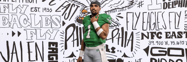 Average Eagles Fans banner