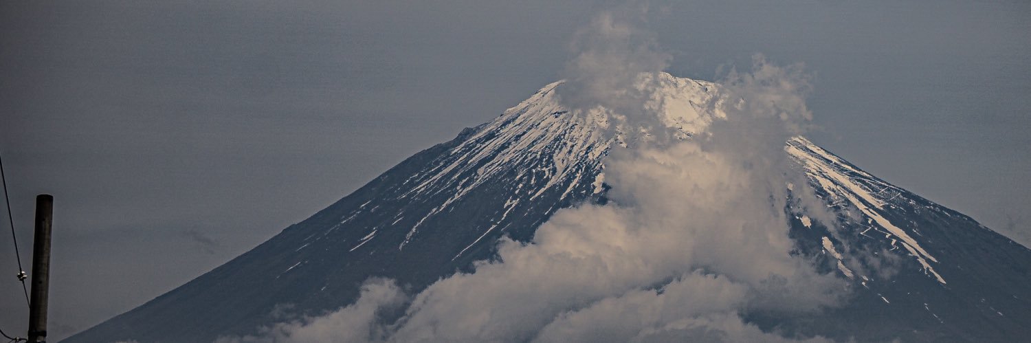 timyrodrigues's profile banner image