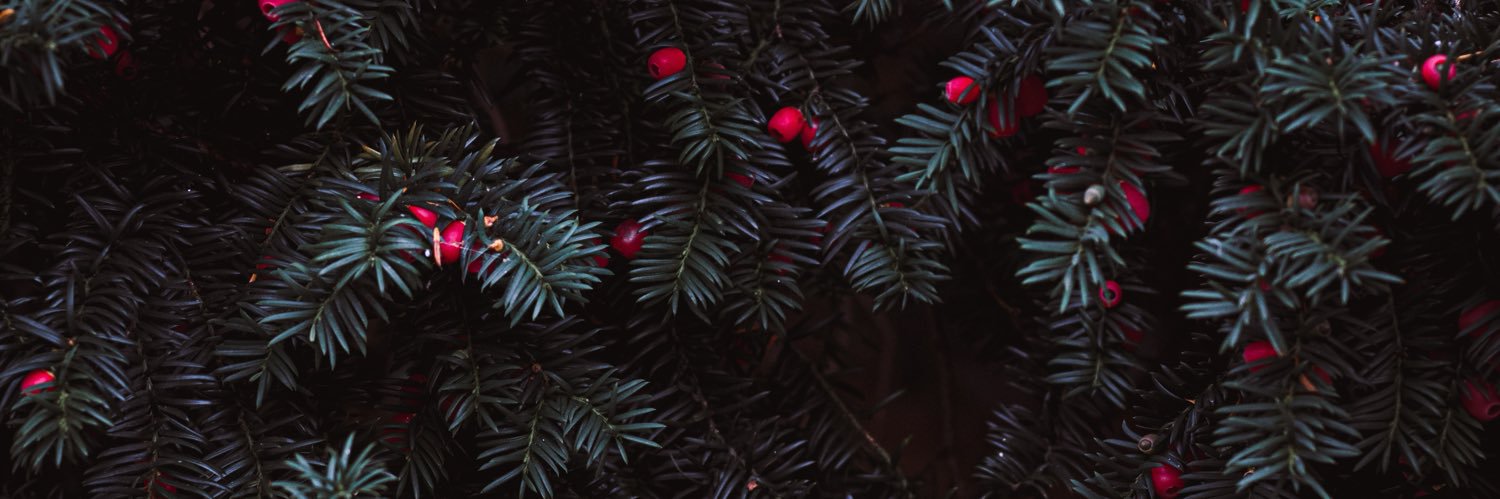 priezhay's profile banner image