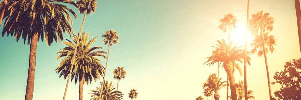 🄹🄰🅈 🄾. banner