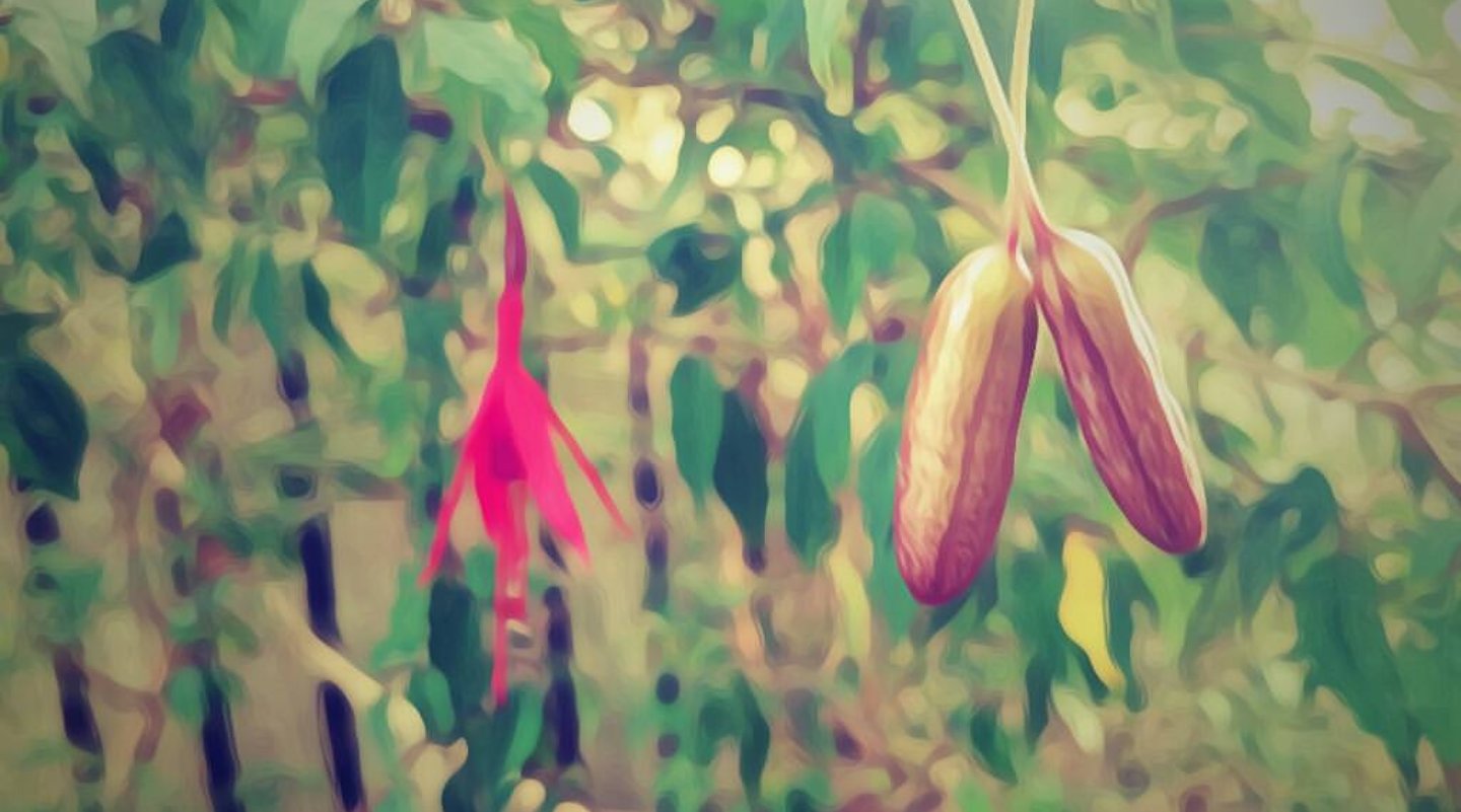 Bunki banner