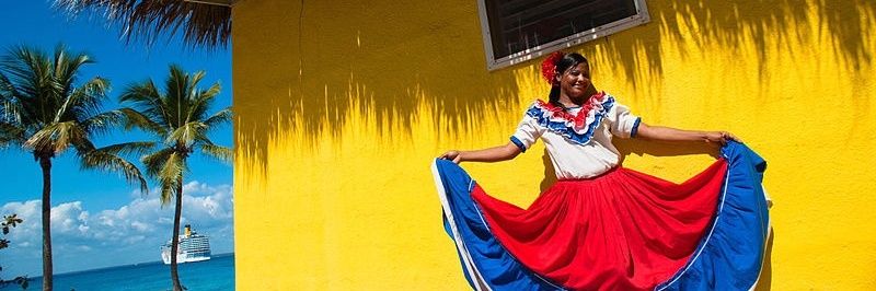 DiasporaVeRd's profile banner image