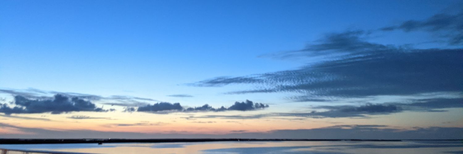 Simon Li banner