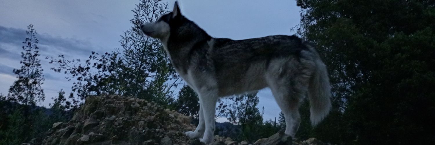 Daniel_Garzon_'s profile banner image