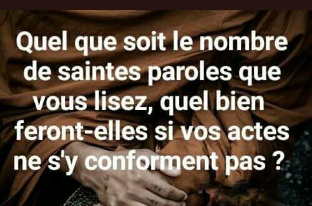 ☝️Malouine☝️ banner