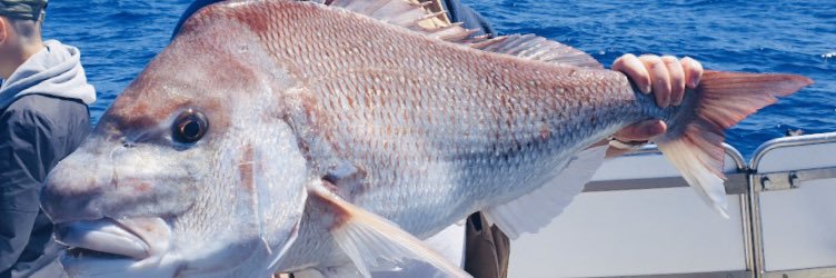 MillsCharters's profile banner image