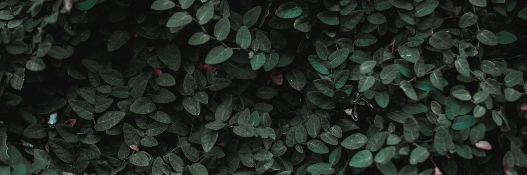 . banner