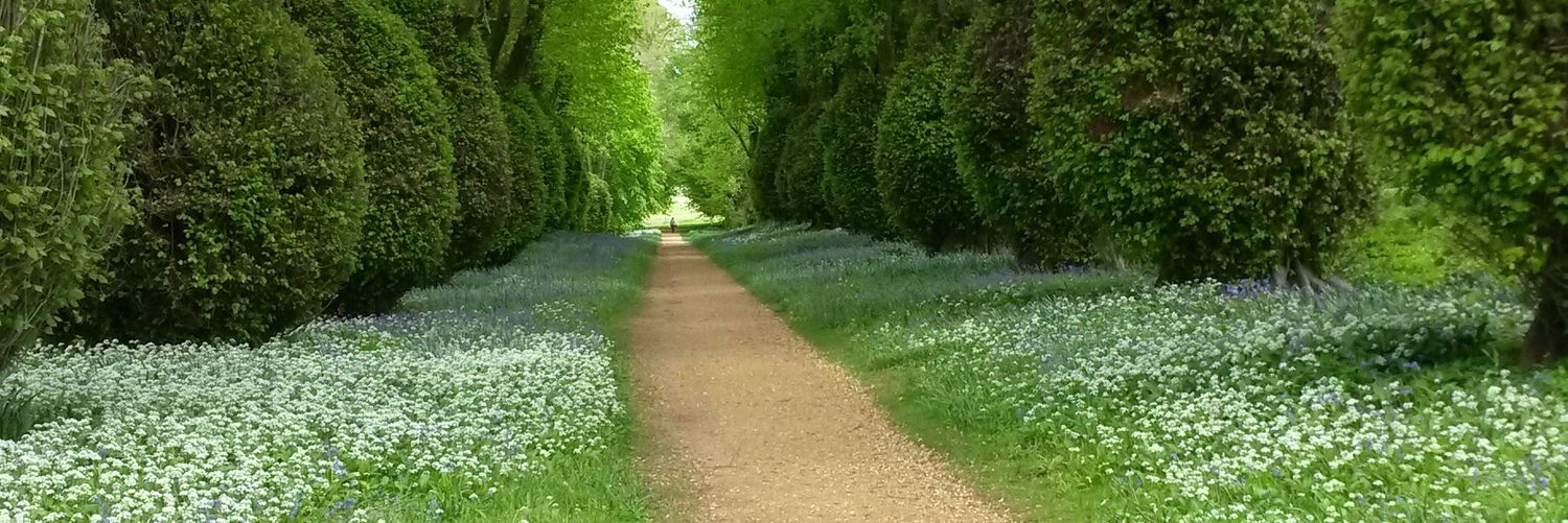 James Richards banner