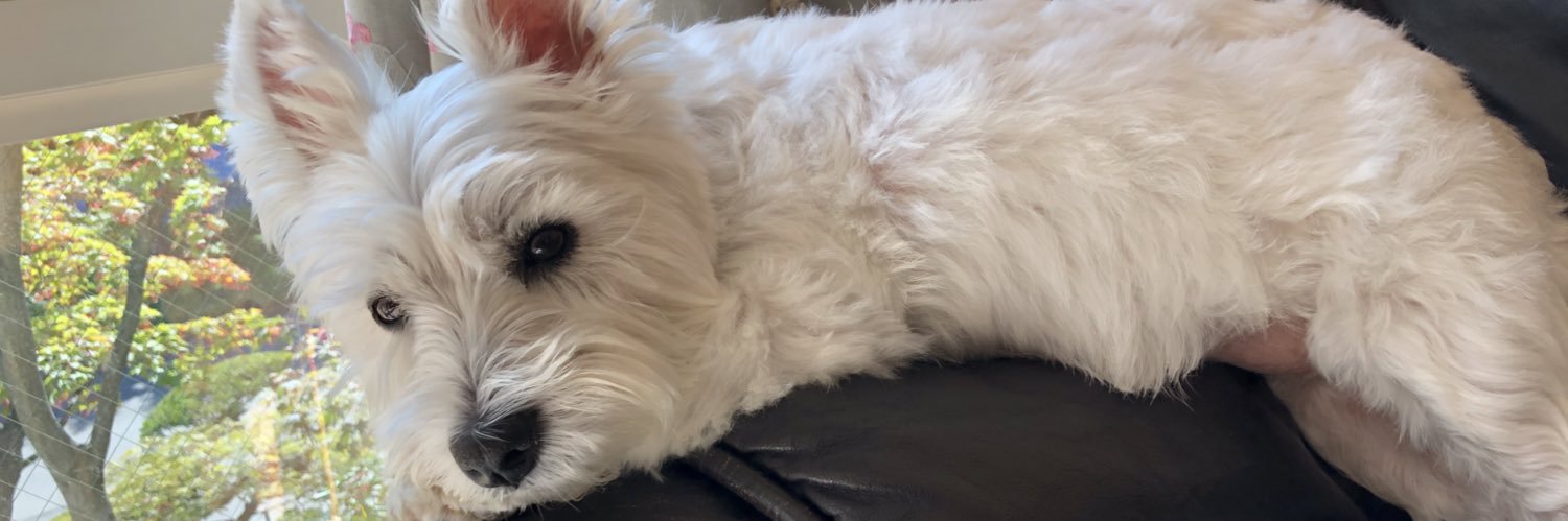 Takuma Kamada banner