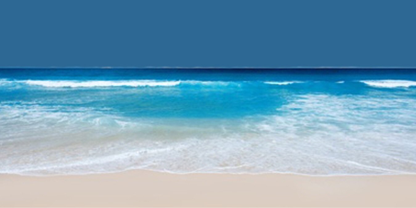 bondibeachbar's profile banner image