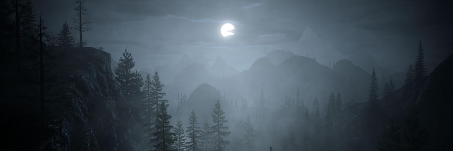 whitewolf_'s profile banner image