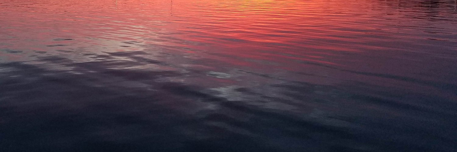 katefreedman's profile banner image