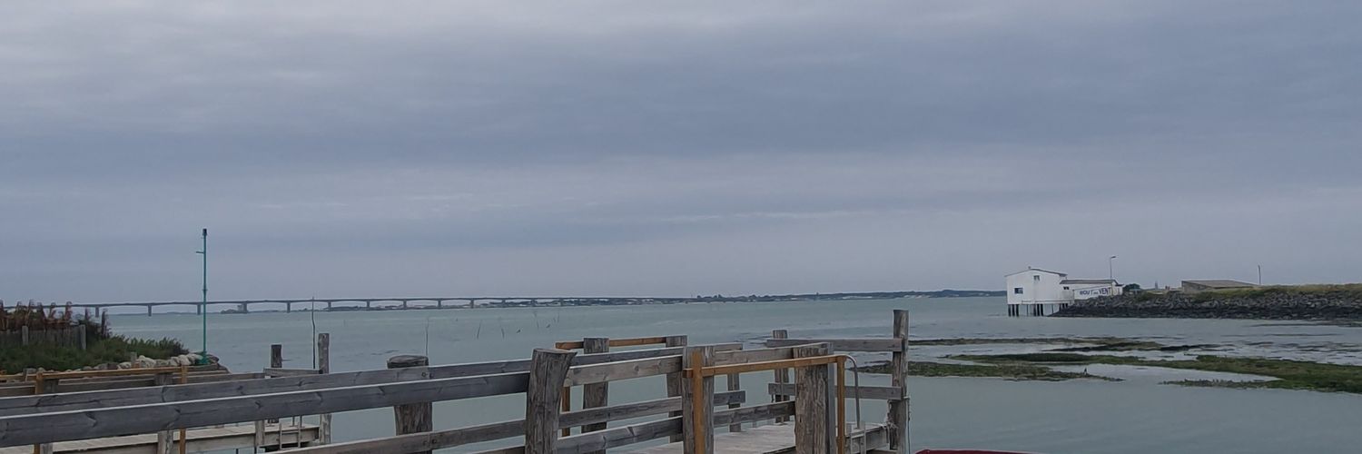Tialixie's profile banner image