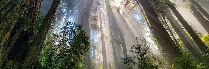 MisterA🇲🇺 banner