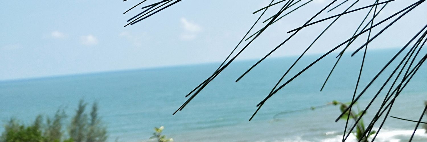 TamuTami92's profile banner image
