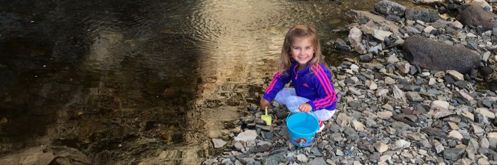 Heather Innes banner