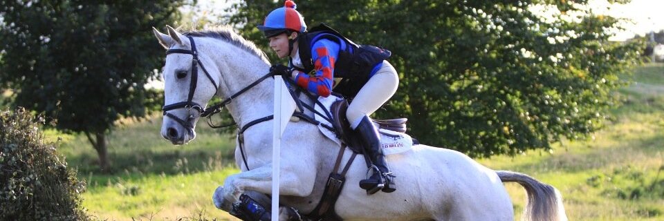 Alice Stockings banner