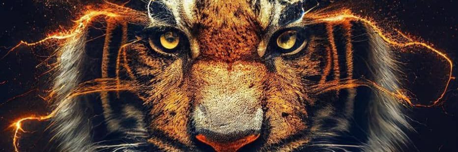 Ismaelnortey3's profile banner image