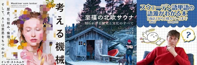 Hanekohaneko's profile banner image